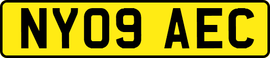 NY09AEC