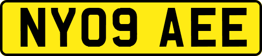 NY09AEE