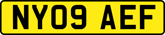 NY09AEF