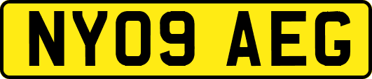 NY09AEG