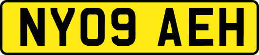 NY09AEH