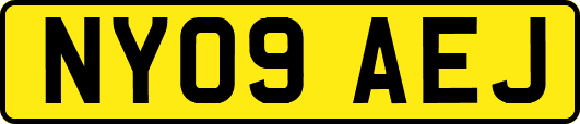NY09AEJ