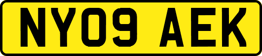 NY09AEK