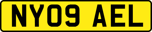 NY09AEL
