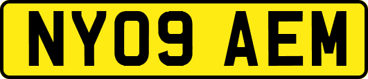 NY09AEM
