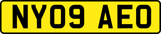 NY09AEO