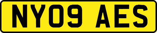 NY09AES