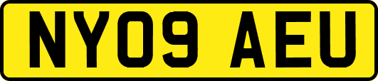 NY09AEU