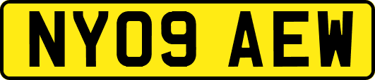 NY09AEW