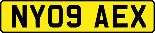 NY09AEX