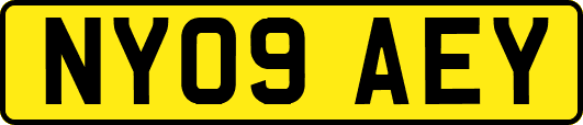 NY09AEY