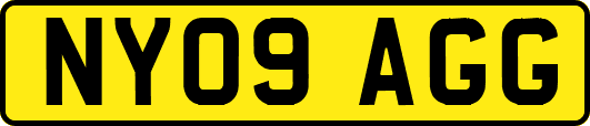 NY09AGG
