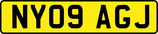 NY09AGJ