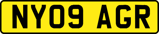 NY09AGR
