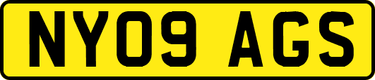 NY09AGS