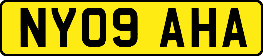 NY09AHA