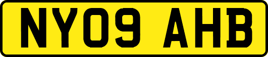 NY09AHB