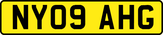 NY09AHG