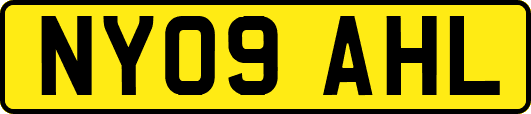 NY09AHL