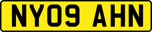 NY09AHN