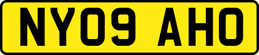 NY09AHO