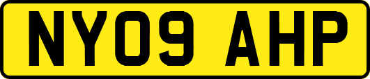 NY09AHP