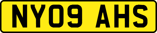 NY09AHS