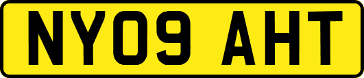 NY09AHT