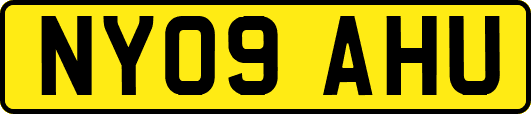 NY09AHU