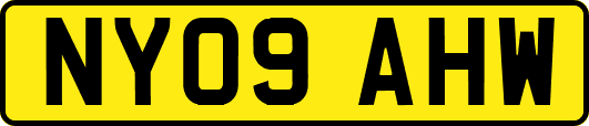 NY09AHW