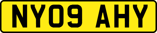 NY09AHY
