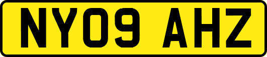 NY09AHZ