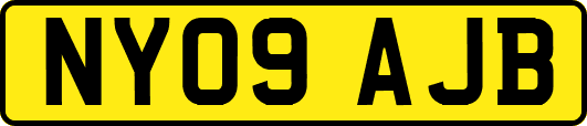 NY09AJB