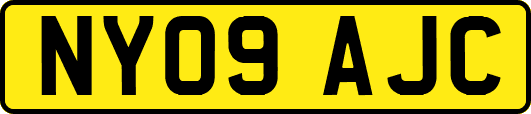 NY09AJC