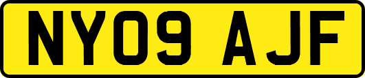 NY09AJF