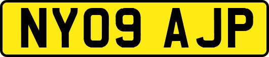 NY09AJP