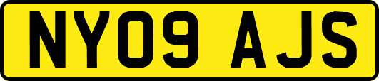 NY09AJS