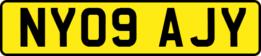 NY09AJY