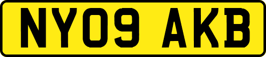 NY09AKB