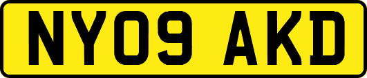 NY09AKD