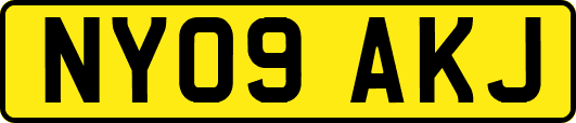 NY09AKJ