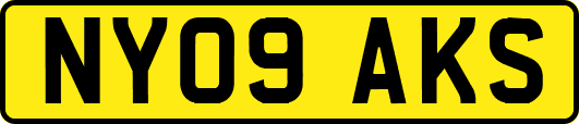 NY09AKS