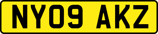 NY09AKZ