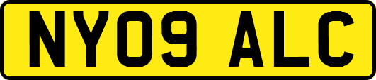 NY09ALC