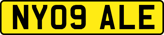 NY09ALE