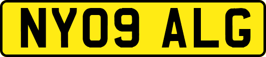 NY09ALG