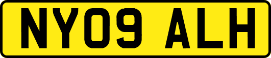 NY09ALH