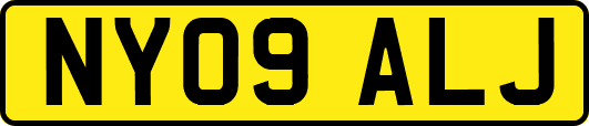 NY09ALJ