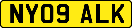 NY09ALK