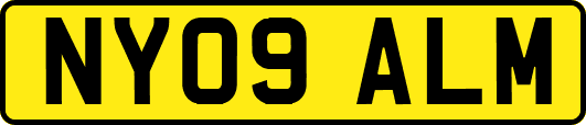 NY09ALM